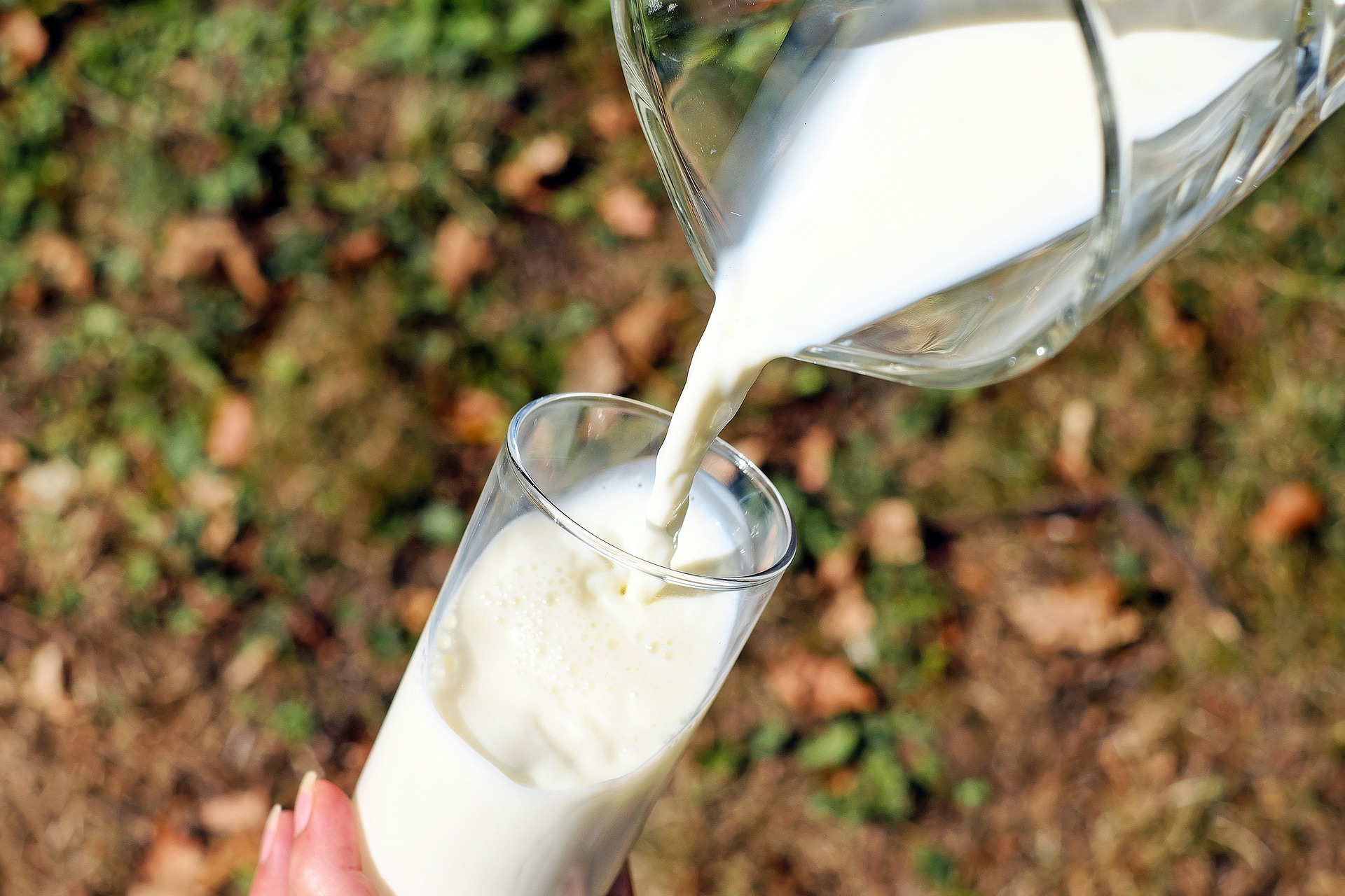 ¿Son más sanas las bebidas vegetales que la leche?